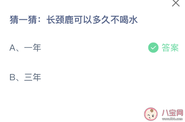 长颈鹿可以多久不喝水蚂蚁庄园答案11.19一年还是三年